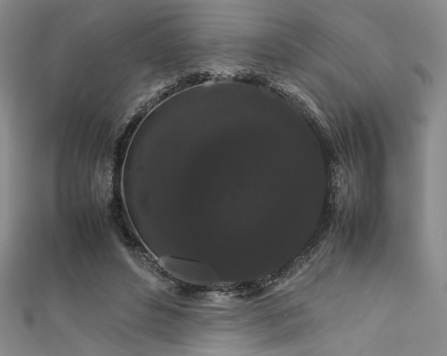 X0000111860496200907231455