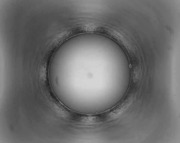 X0000111860497200907231455