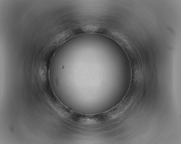 X0000111860498200907231455