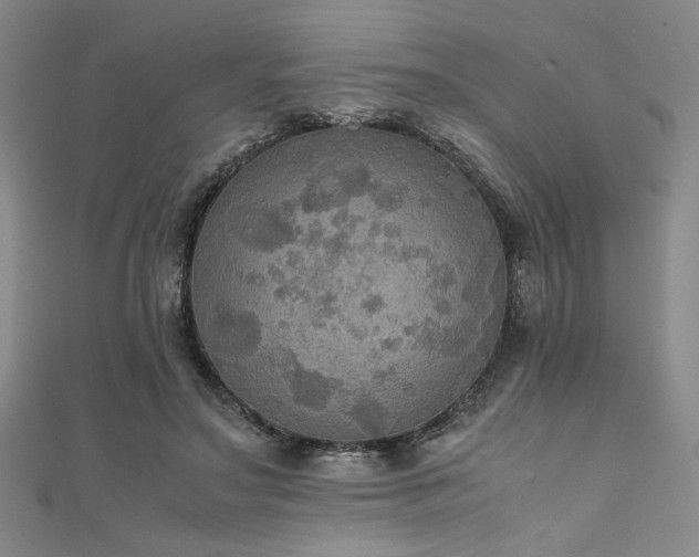 X0000111860499200907231455