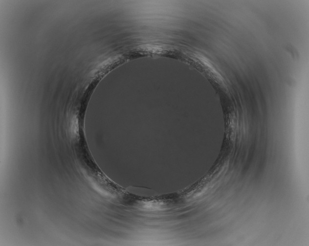 X0000111860500200907231455