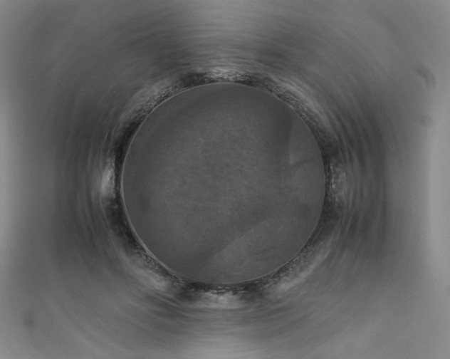 X0000111860502200907231455