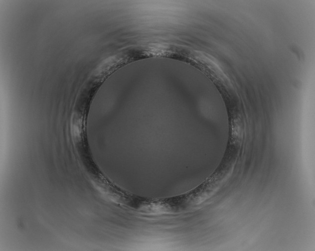 X0000111860503200907231455
