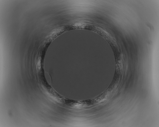 X0000111860504200907231455
