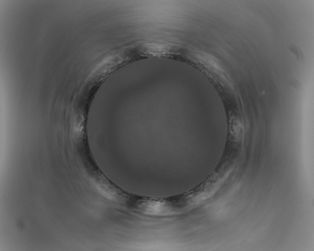 X0000111860507200907231455