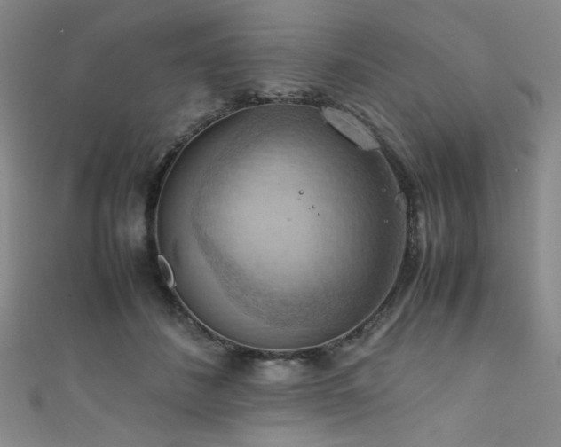 X0000111860508200907231455