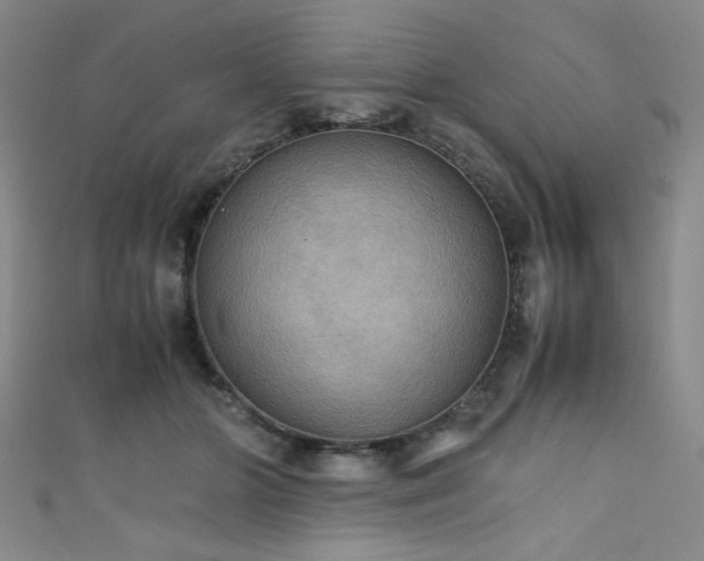 X0000111860510200907231455