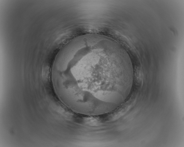 X0000111860511200907231454