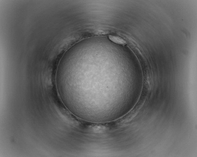 X0000111860512200907231454