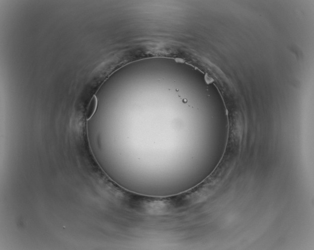 X0000111860513200907231454
