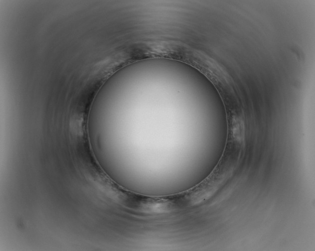X0000111860514200907231454