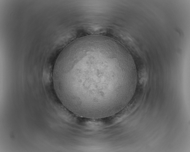 X0000111860515200907231454