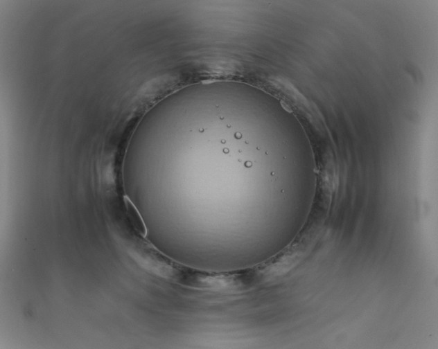 X0000111860516200907231454