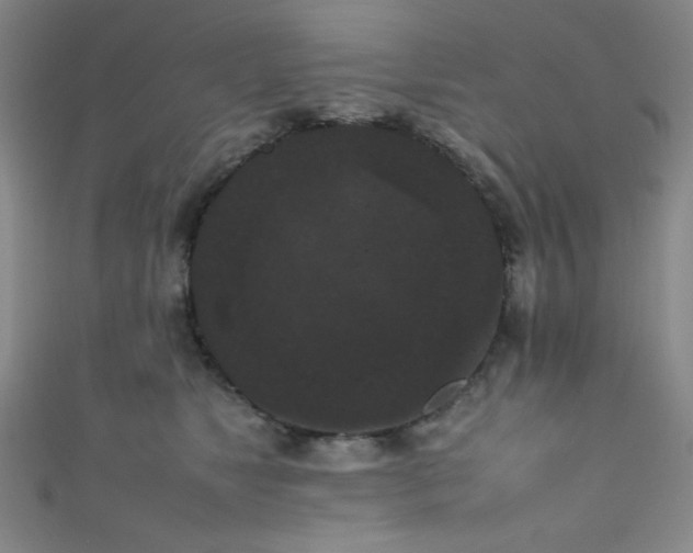 X0000111860517200907231454