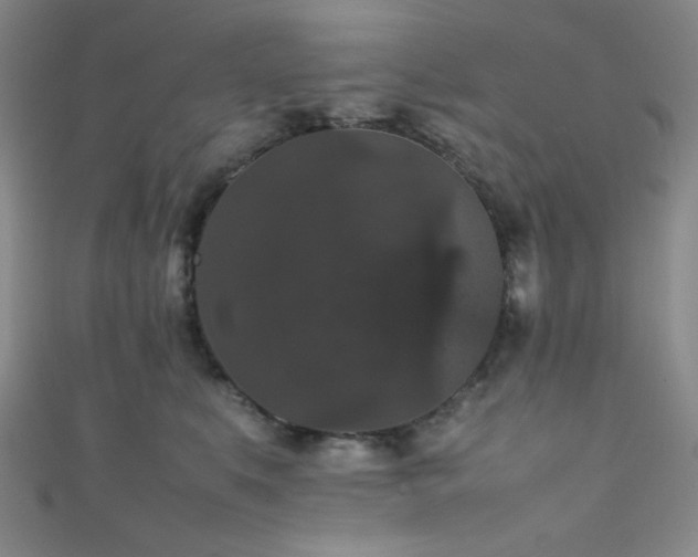 X0000111860519200907231454