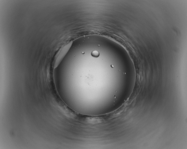 X0000111860520200907231454