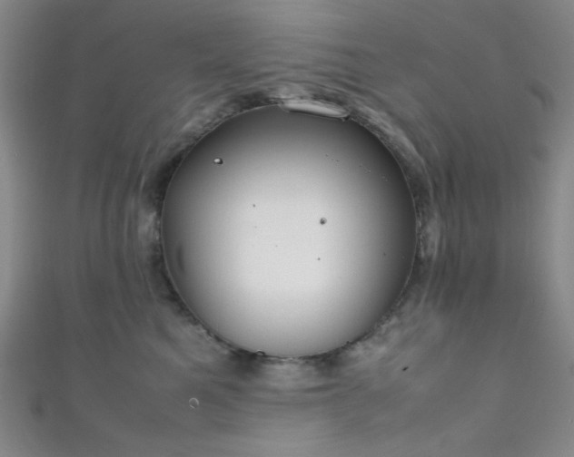 X0000111860521200907231454
