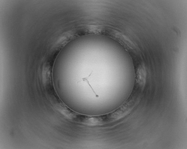 X0000111860522200907231454