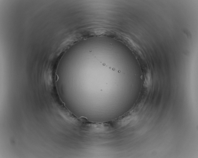X0000111860524200907231454