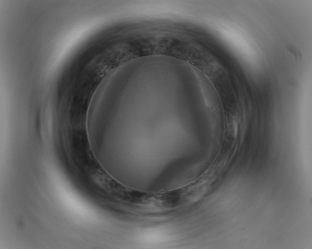 X0000111860526200907231454