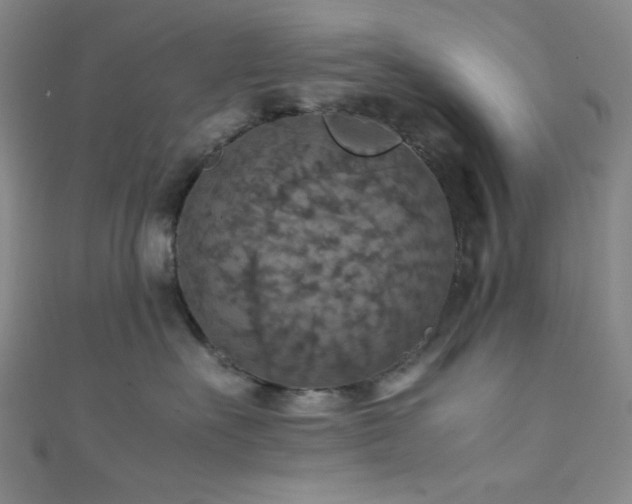 X0000111860527200907231454