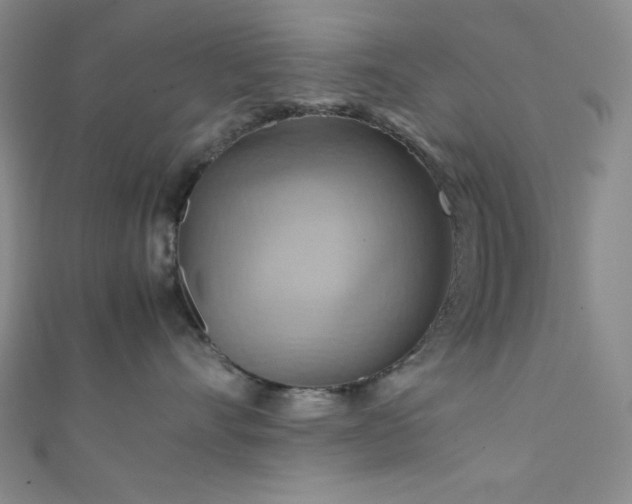 X0000111860528200907231454