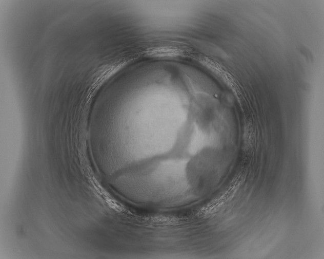X0000111860529200907231454