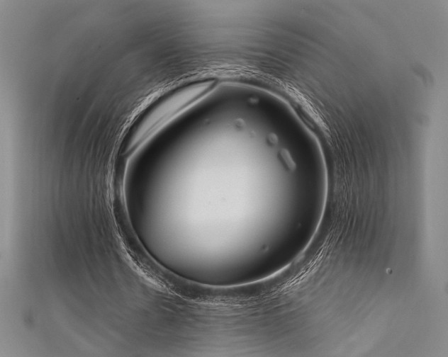 X0000111860530200907231454