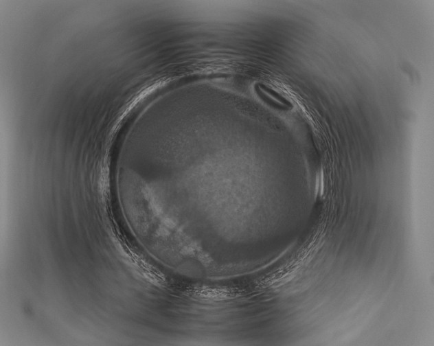 X0000111860531200907231454