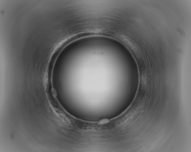 X0000111860532200907231454