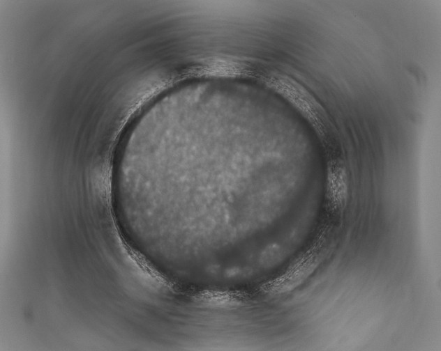 X0000111860534200907231454