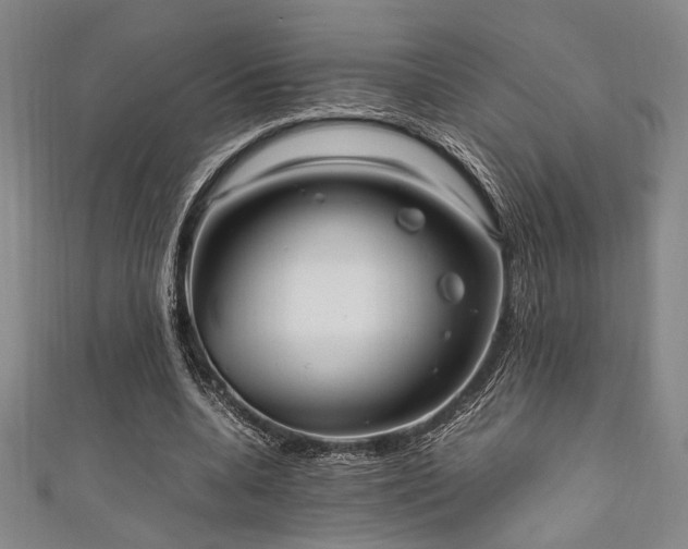 X0000111860536200907231454