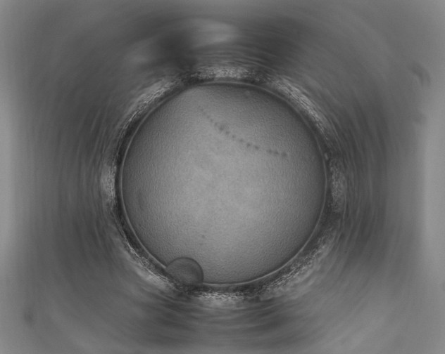 X0000111860537200907231454