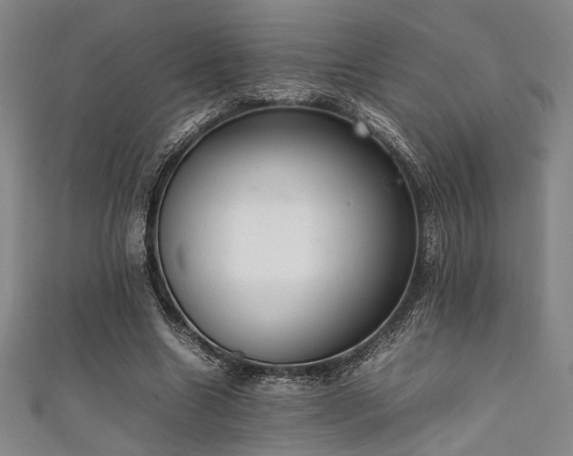 X0000111860538200907231454