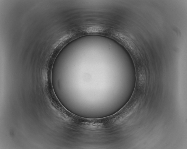 X0000111860539200907231454
