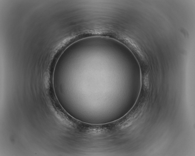 X0000111860540200907231454