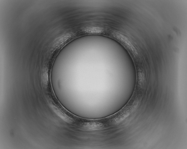 X0000111860541200907231454