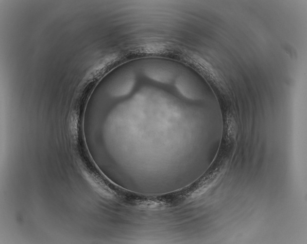 X0000111860542200907231454