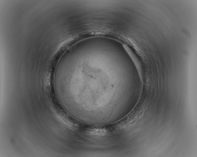X0000111860543200907231454