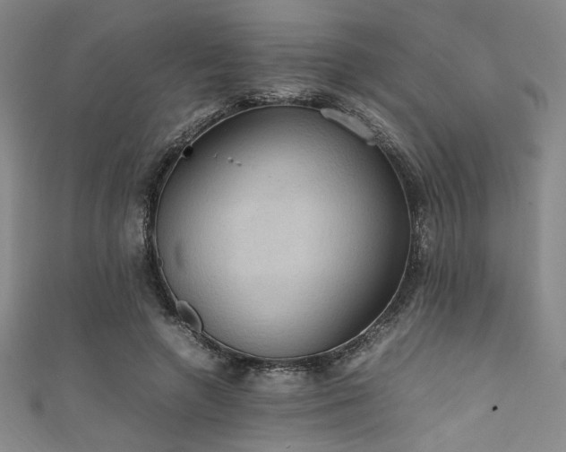 X0000111860546200907231454