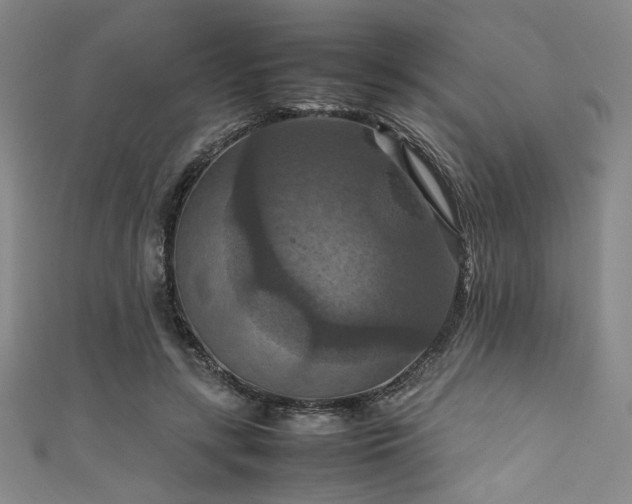 X0000111860547200907231454
