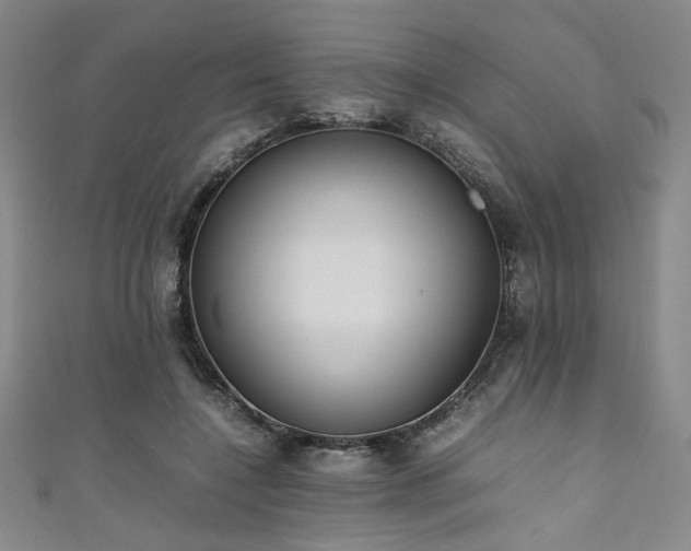 X0000111860548200907231454