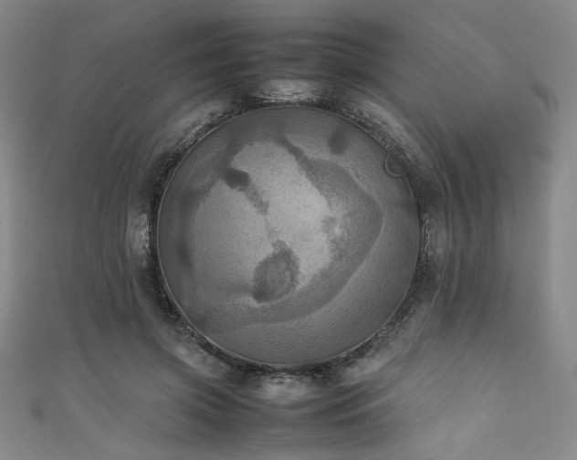 X0000111860549200907231454