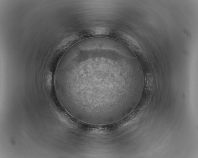 X0000111860550200907231454