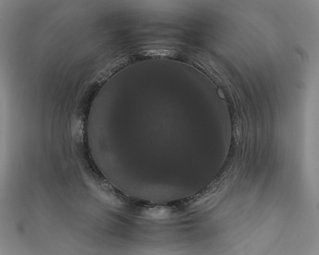 X0000111860551200907231454