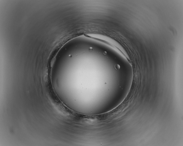 X0000111860552200907231454