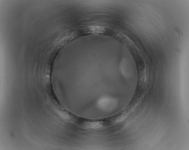 X0000111860553200907231454