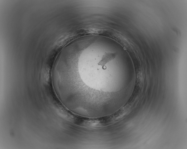 X0000111860554200907231454