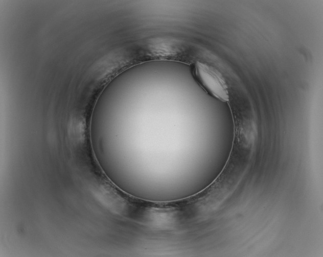X0000111860556200907231454
