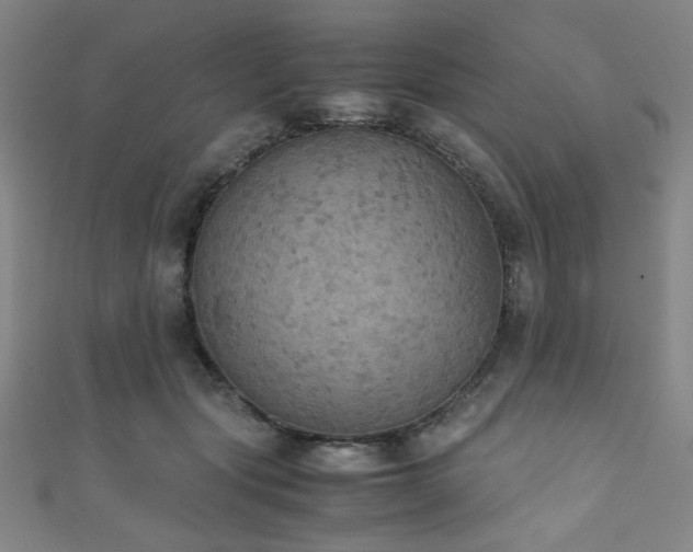 X0000111860557200907231454